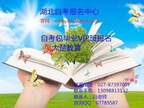 武漢大楚教育學(xué)堂 專業(yè)咨詢服務(wù)賦能教育未來